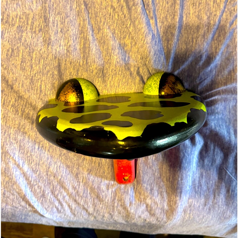 Unique Frog Head Shelf